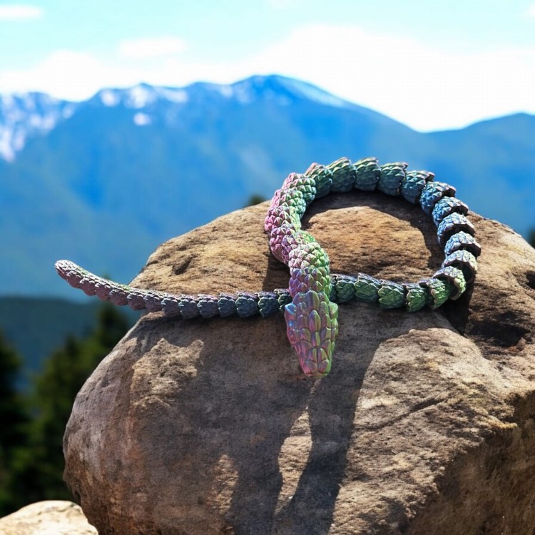 Brazylijska Kobra - Tropikalna