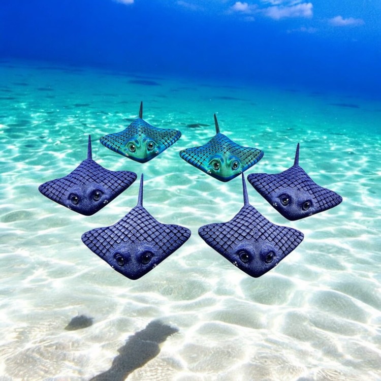 Manta Ray - Czarno / Niebieska