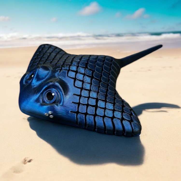Manta Ray - Czarno / Niebieska