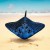 Manta Ray - Czarno / Niebieska