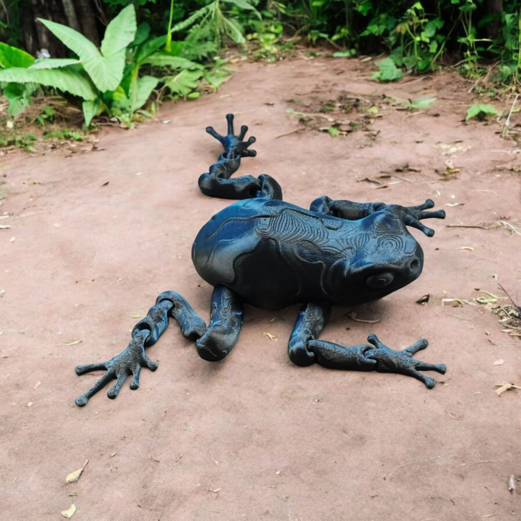 Ruchoma żaba Darcy - Czarno / Niebieska