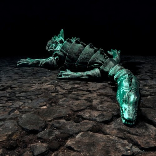 Dinozaur Notozaur - Czarno / Turkusowy