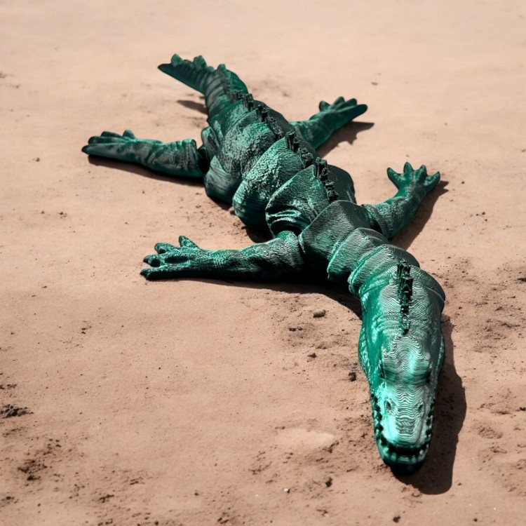 Dinozaur Notozaur - Czarno / Turkusowy