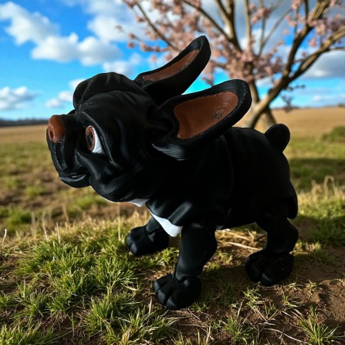 Buldog francuski 3D